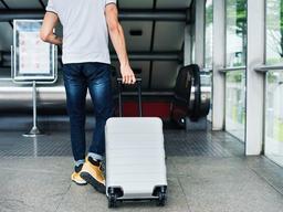 내일 비행기 타는데, 여행사가 망했다