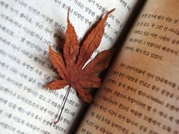 헌책에 실려… 타인의 추억이 내게로 왔다