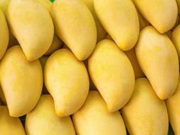 <strong>망고</strong>보다 <strong>망고</strong> 껍질이 좋다는데…먹어도 될까?