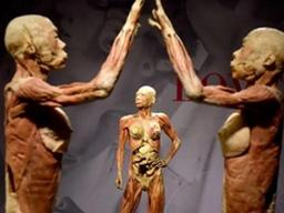 "中 죄수 시신 사용 의혹"…스위스서 '<strong>인체</strong>의 신비전' 금지