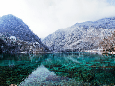 중국 구채구 일측구, 아름다운 물빛의 향연(전죽해,팬더해,오화해,진주탄폭포,경해)