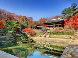 4대궁·종묘 단풍 10월말 절정…<strong>창덕궁</strong> 후원 등 명소