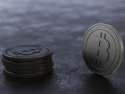 비트코인, 엇갈린 평가 속..블록체인 일으키다