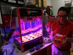 아마존에서 구입한 조립PC에서 상추와 바질이 자란다