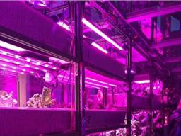 구글도 투자하는 퍼스널푸드컴퓨터(PFC)…