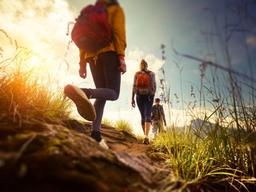 면역력 높이고 피부 보호하려면…가을에 필요한 <strong>기능성</strong> 식품들