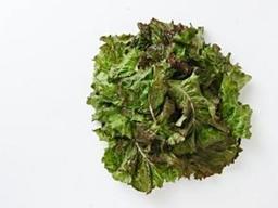 그냥 <strong>상추</strong>가 아니다…기능성 <strong>상추</strong> ‘흑하랑’은 뭐가 다를까?