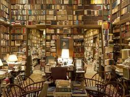 책 쟁여놓기의 놀라운 효과에 대하여