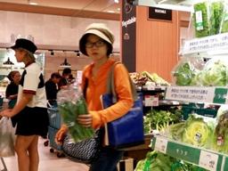 변하는 日소비자 “같은 값이면 ‘<strong>LED</strong>채소’ 먹을 것”