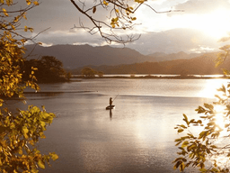 이 사람이 있어야 우포늪 그림이 완성된다