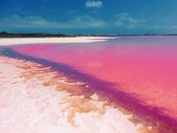 보기만 해도 러블리한 전 세계 핑크빛 <strong>여행지</strong>