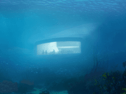 해저, 얼음, 사막, 창공에서의 식사, 오늘도 여행자는 낭만을 먹는다.