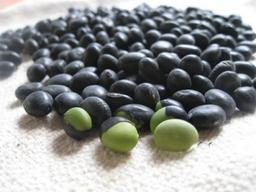 한국인의 밥상에 의외로 많은 <strong>비타민B</strong>…