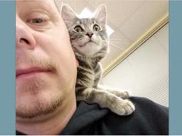 고객 사랑 독차지한 '호텔 <strong>신입</strong> <strong>직원</strong>'의 정체