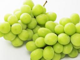 ‘불티’나는 신생 외국품종…<strong>샤인</strong>머스켓 포도ㆍ엔비 사과