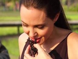 앞으로는 애벌레가 주요 식단? 미래 식량 자원으로 손꼽힌 식용 <strong>곤충</strong>