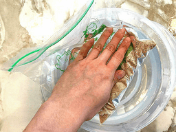 전문기계 없이도 물 하나로 간단하게 진공포장하는 <strong>법</strong>