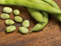 이탈리아 장수마을에서 즐겨 먹는 ‘파바콩’이 뭐죠?