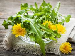 혼자만 ‘먹기엔’ 아까운 꽃들