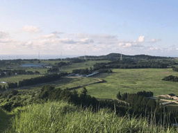 남는 건 사진뿐 사진 찍기 좋은 오름