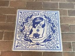 겨우 고양이 보러 거기까지 갔다고?