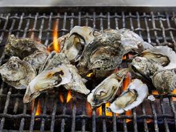 작지만 단단하고 진한… 서해안 명물 무엇?