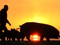 "'한국식 나이' 불편…우리도 '만 나이' 쓰면 안되나요"