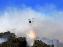 양양<strong>산불</strong> 20시간 만에 진화 완료···인명피해 없이 주민들 무사귀가