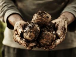 친환경 농산물에 대해 몰랐던 것들