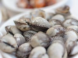 지금 먹어야 맛있는 '1월 제철수산물'