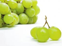 청포도 ‘샤인머스캣’ <strong>칼륨</strong>·폴리페놀 풍부 껍질째 먹어 더욱 좋아