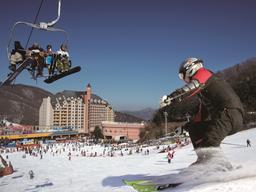만개한 설원의 낭만