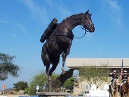 <strong>6.25</strong>에 참전해서 '하사' 계급장 받은 말의 사연은?