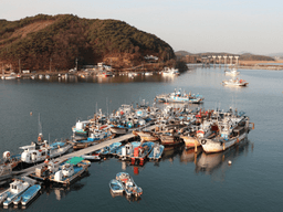 관자에 반하고, 바다맛에 취하다…충남 보령 ‘맛있는 포구’