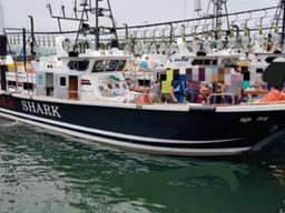 "당일치기 '도시어부'들의 무한 경쟁, 사고가 안 나겠나"