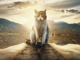 거대한 동물 이미지를 통해 대자연과 공존하는 삶을 담은 <strong>사진</strong>작가 Mani