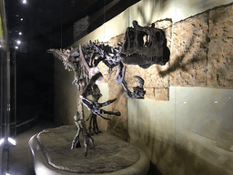 공룡들이 뛰놀던 곳… <strong>천년 고찰</strong>은 묻는다 여기가 땅끝이었나