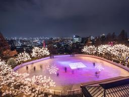 <strong>천원</strong>부터 60만원까지…별별 서울 스케이트장