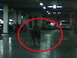 아파트 <strong>주차장</strong>에 나타난 대형 멧돼지…차량 박살 내고 사라져