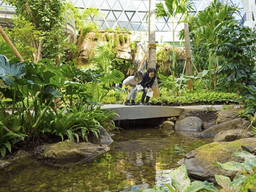 미세먼지 걱정 마세요… 유리 온실에 가득한 풀 내음