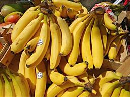 <strong>건강</strong> 위해 일주일에 과일 '6kg'씩 먹은 60대 남자의 최후