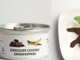 '귀뚜라미 단백질바' 나오는 日 자동판매기