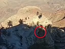 '희망의 끈 놓지 않아' <strong>그랜드캐니언</strong> 추락 대한민국 청년