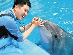 <strong>서울대공원</strong> 돌고래 “난 어디로 가나요”…‘마지막 돌고래’ 관리 싸고 토론회