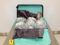 <strong>크로아티아</strong>서 2억원 넘는 '장어 밀반출' 한국인 2명 체포