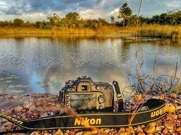 딸 사망<strong>보험금</strong>, 양육비 한푼 안 보탠 전 남편도 줘야하나요