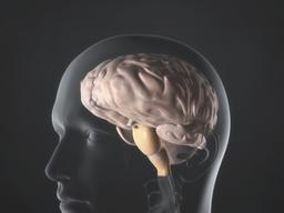 [세계 뇌전증의 날 ②] “뇌전증 <strong>불치병</strong> 아냐, 10명 중 7명은 약물로 치료 가능”