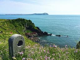 <strong>이주</strong>열풍 불던 때가 엊그제 같은데… 新 3多에 우는 <strong>제주</strong>