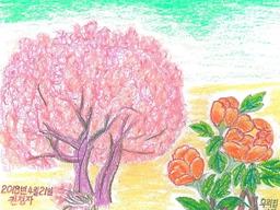 “삐뚤빼뚤 서툴지만 살맛 나” 노년에 글 배우는 순천 할머니들의 그림일기