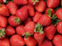 <strong>딸기</strong> 말고 설향, 감귤 말고 레드향...요즘 인기인 과일 품종들